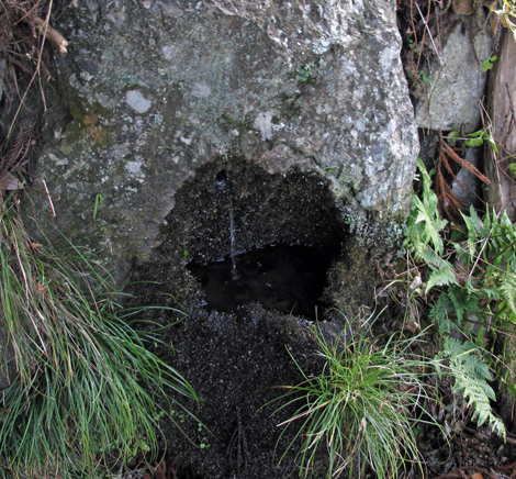 20140105hike (74)